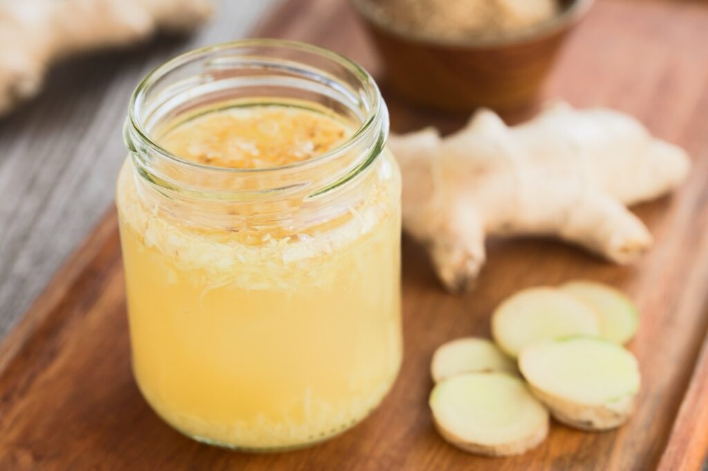 ginger bug, lo starter spontaneo per fare la ginger beer