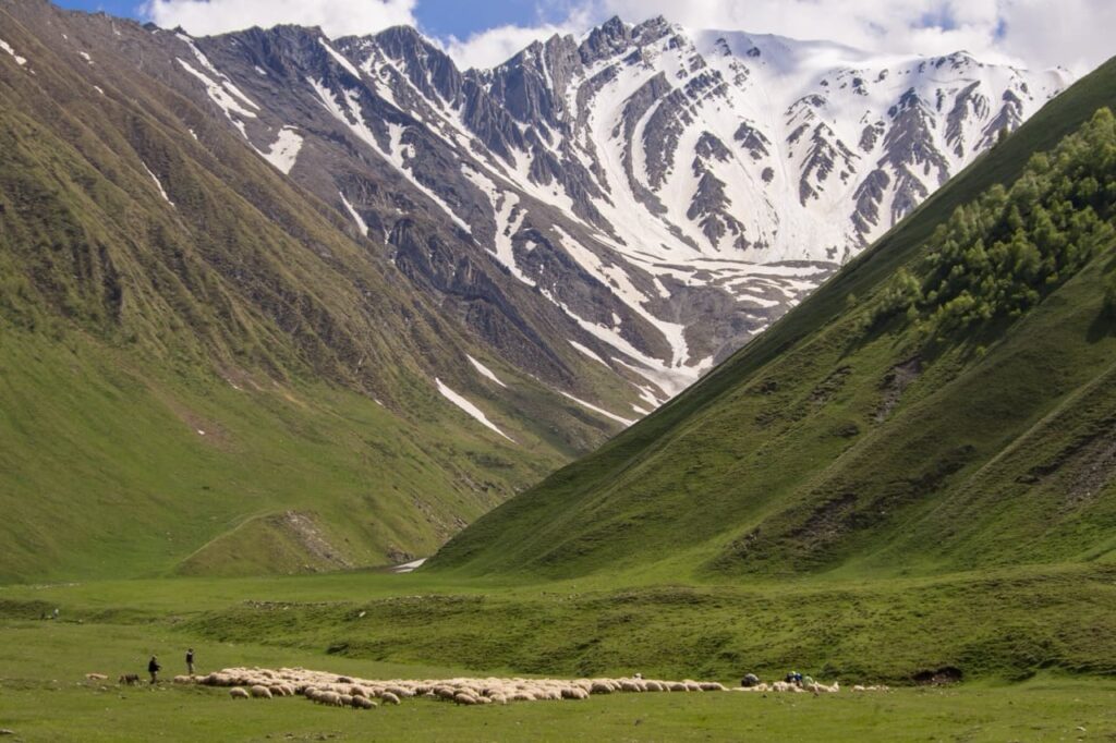 montagne del caucaso dove si pensa si sia originato il kefir