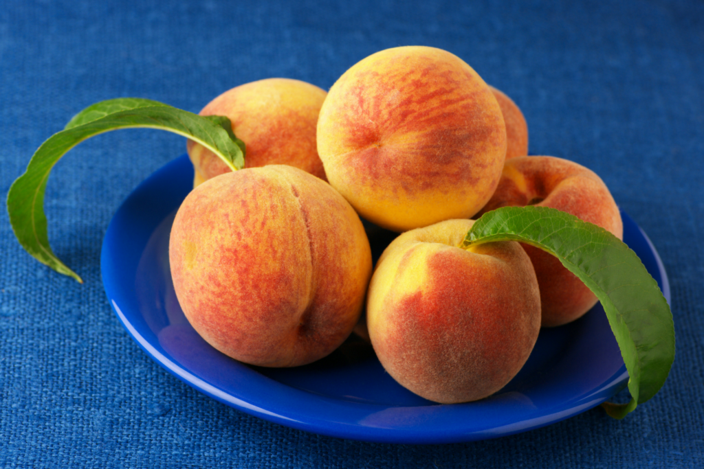 peach bellini cocktail engineering pesca pesche giovanni ceccarelli