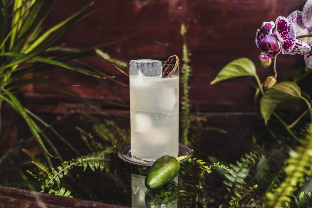 BOHEMIAN FIZZ cocktail engineering