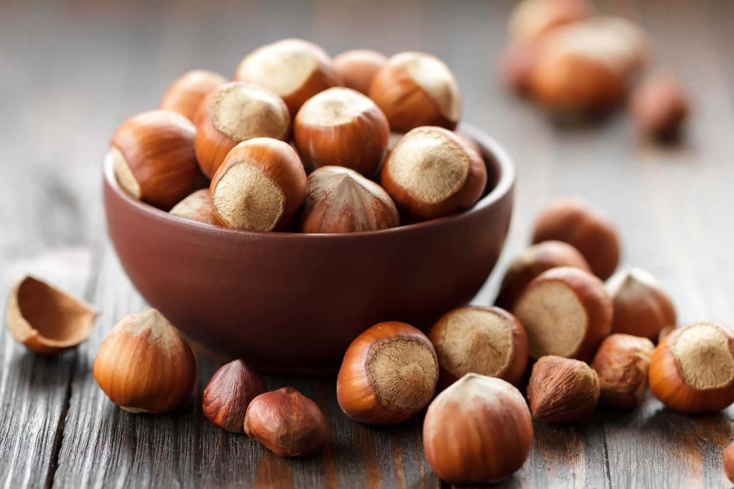 premix-alle-.nocciole