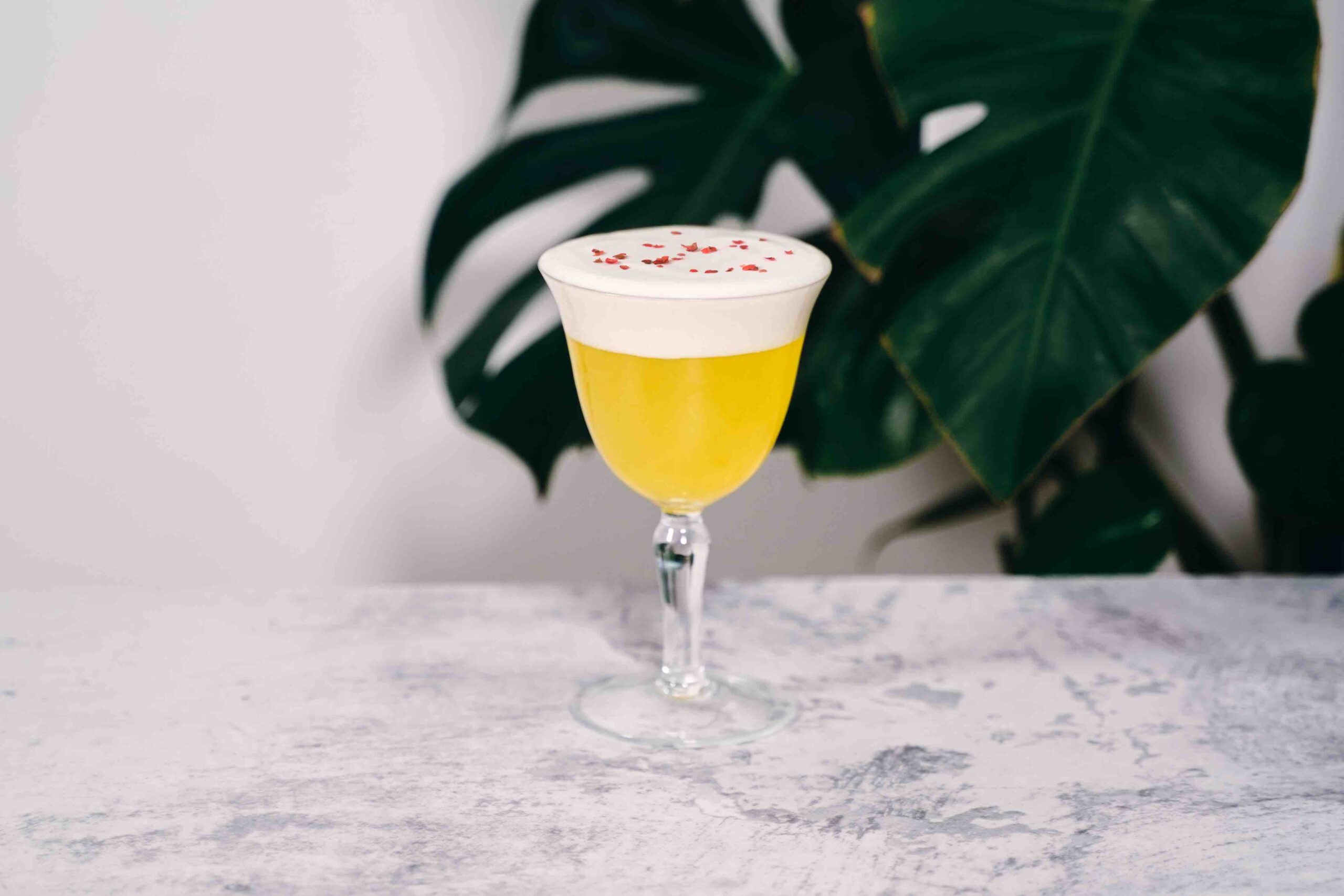 not-a-beer-cocktail-scaled
