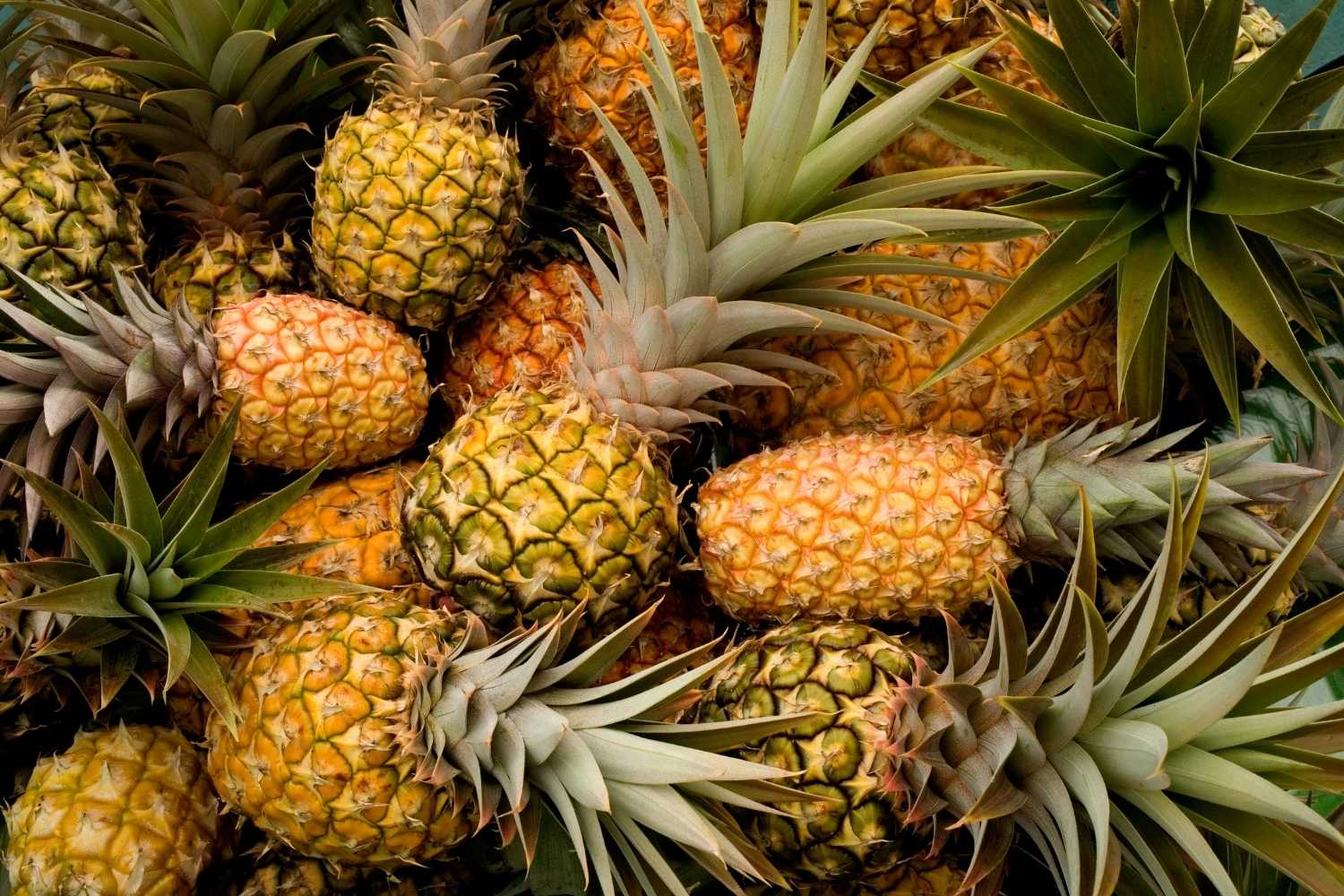 webinar-ananas-cocktail