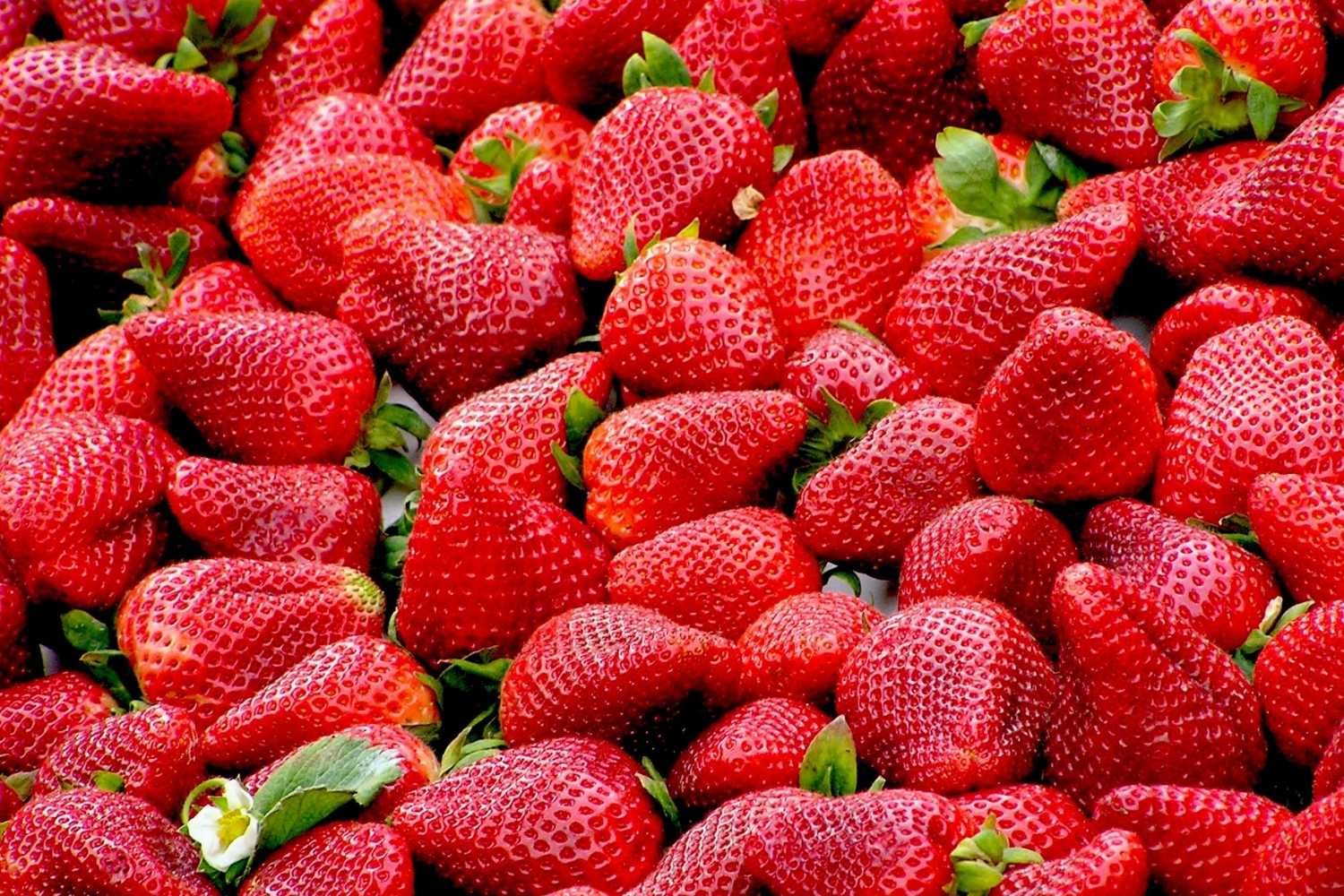 webinar-fragola-cocktail