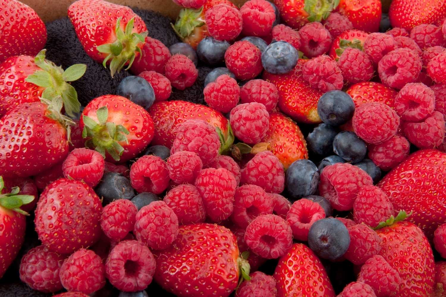 webinar-frutti-di-bosco-cocktail