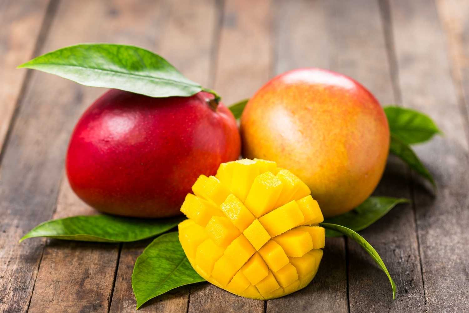 webinar-mango-cocktail