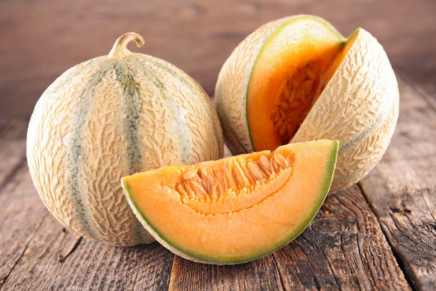 webinar-melone-cocktail