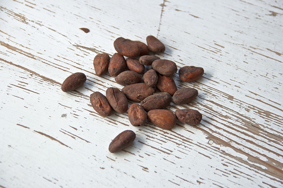 fave-di-cacao