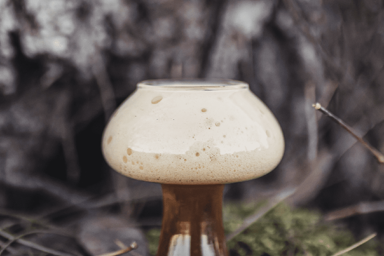 foam-burro-porcini
