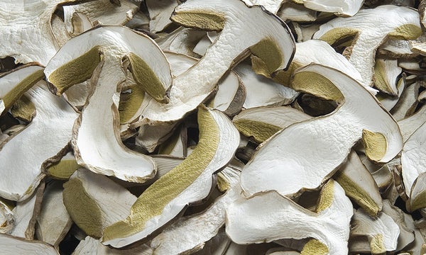 funghi-porcini