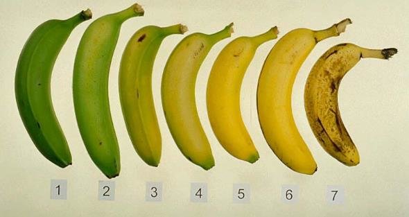 maturazione-frutta