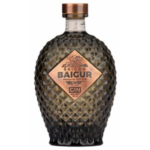 Una bottiglia di Gin Saigon Baigur