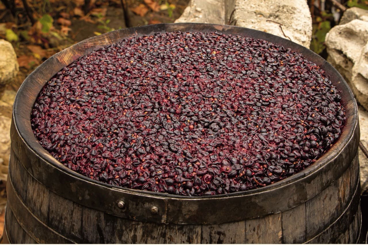 fermentazione-alcolica