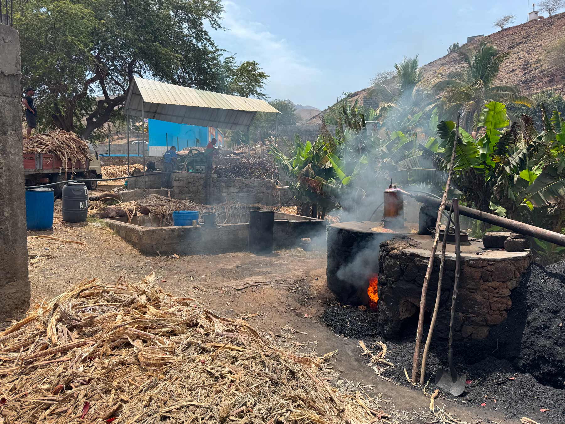 distilleria a capo verde